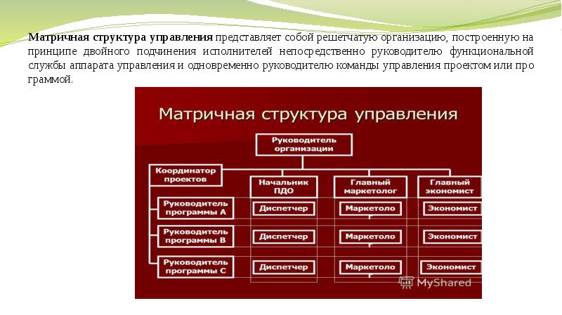 Двойственная организационная структура управления проектом