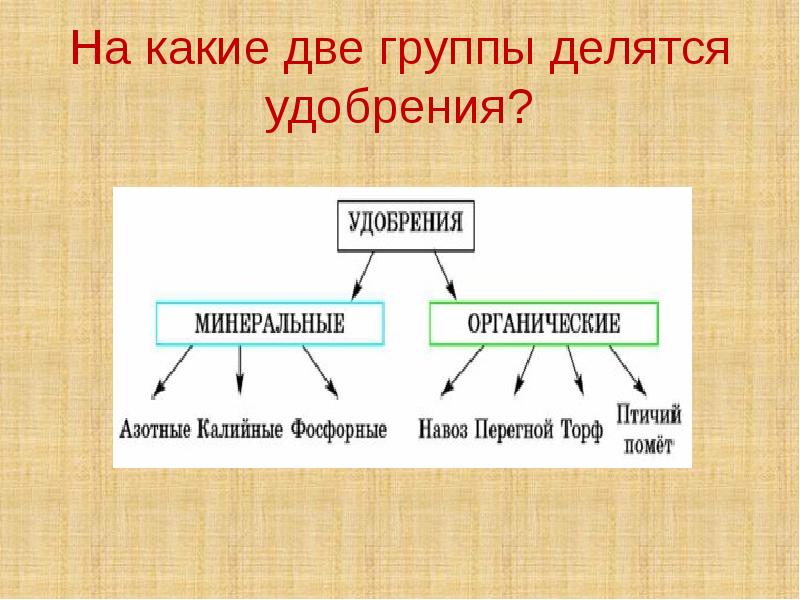 На какие два типа делятся средства презентации графики