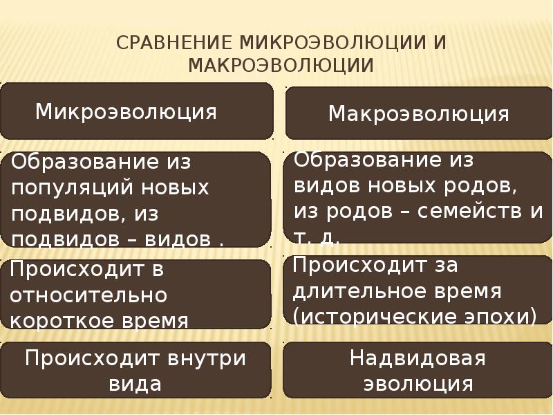 Макроэволюция презентация 11 класс