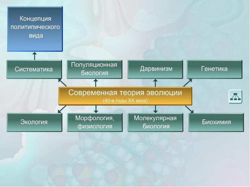 Изоляция эволюционный фактор презентация