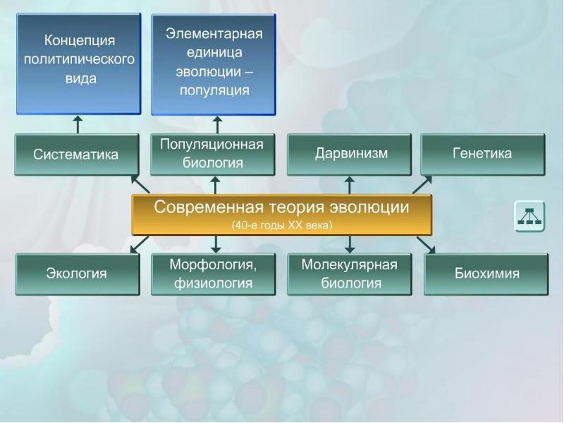 Популяция структурная единица вида и эволюции презентация 11 класс