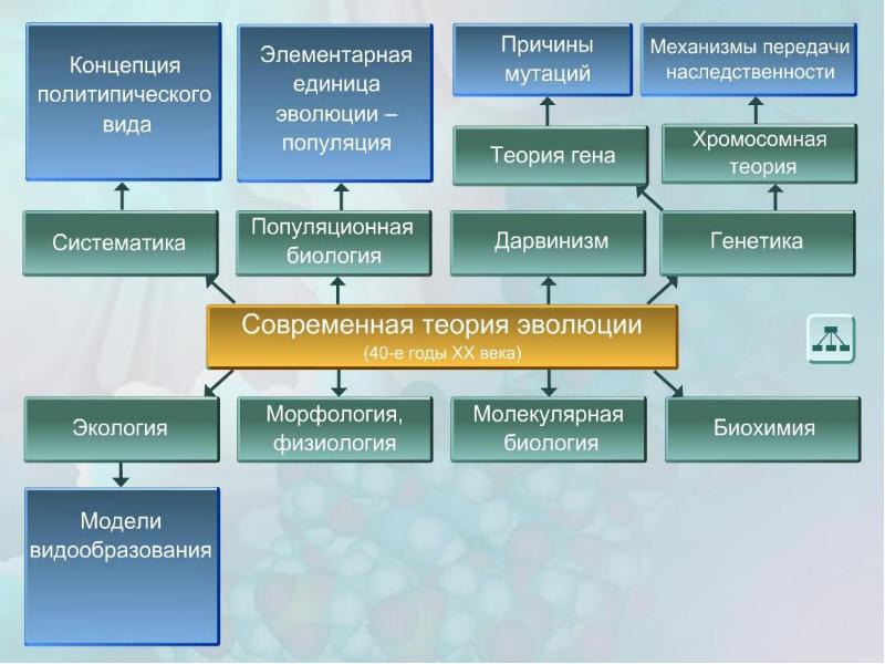 Факторы эволюции презентация эволюции 11 класс