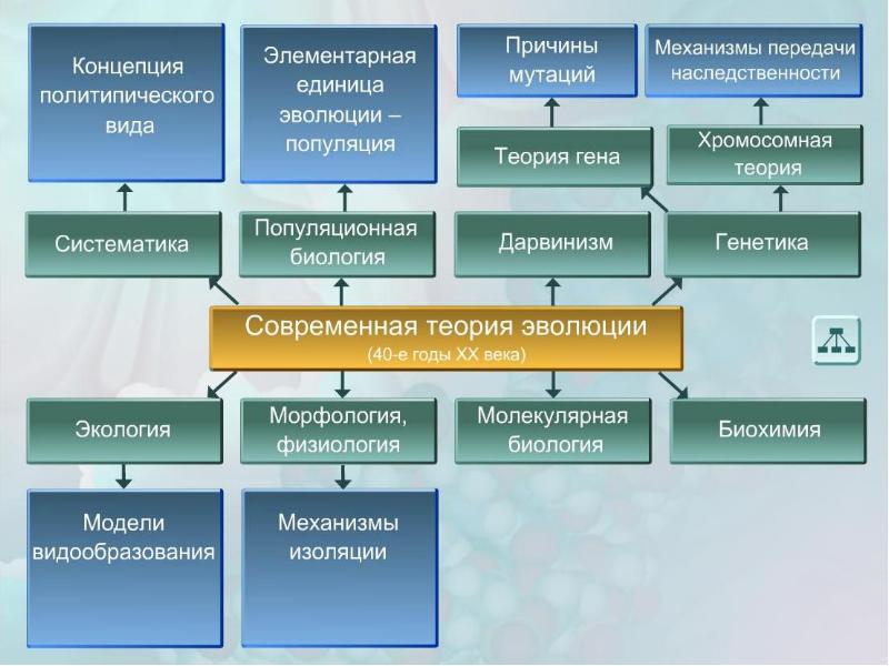 Факторы эволюции презентация эволюции 11 класс