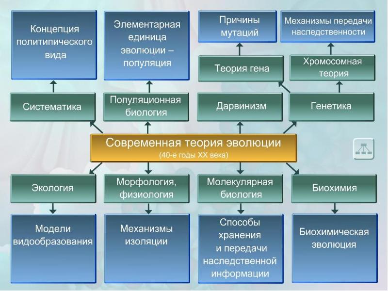 Современное учение об эволюции презентация 10 класс пономарева