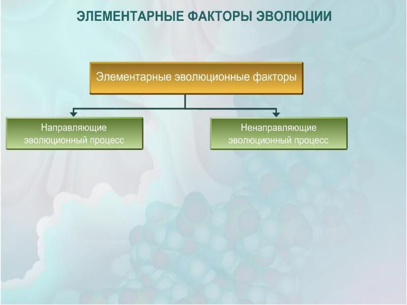 Факторы эволюции презентация эволюции 11 класс