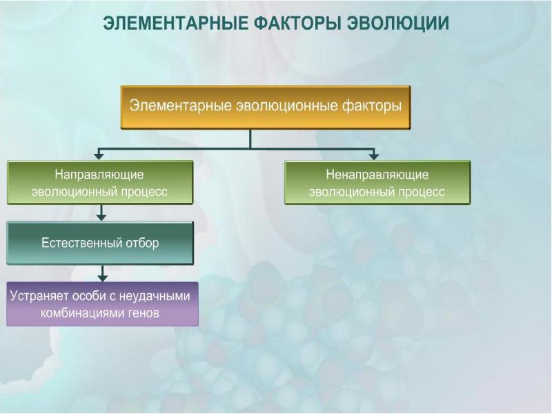 Современные взгляды на факторы эволюции 9 класс презентация