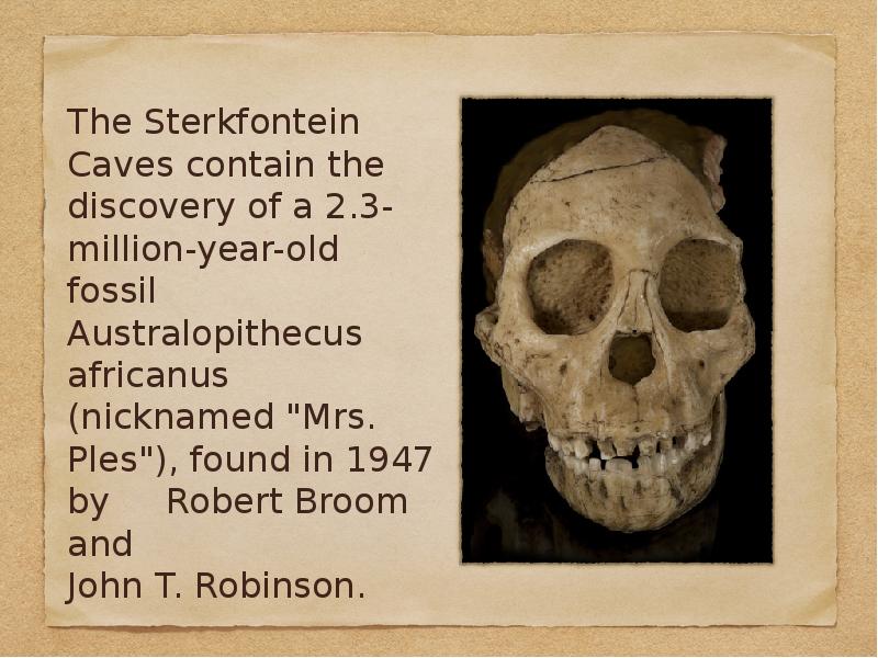 The Sterkfontein Caves contain the discovery of a 2.3-million-year-old fossil Australopithecus