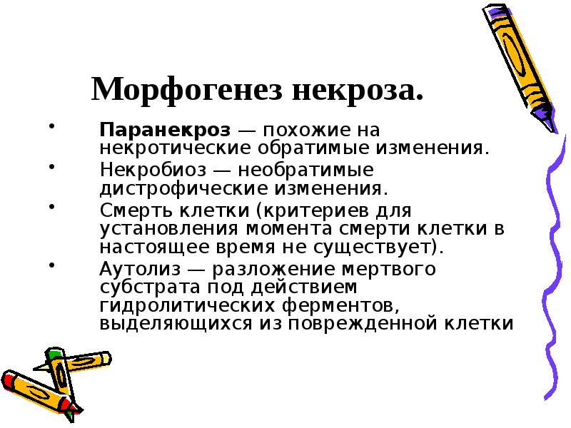 Аутолиз. Паранекроз и некробиоз. Некроз и паранекроз. Паранекроз некробиоз некроз. Морфогенез некроза.