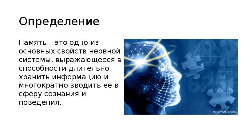 Определение памяти. Память основное свойство нервной системы. Интеллект и память одно определение.