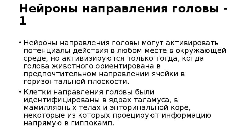 Направления головы. Нейронные механизмы памяти презентация. Направление головы. Краткосрочная и долгосрочная память Нейроны.