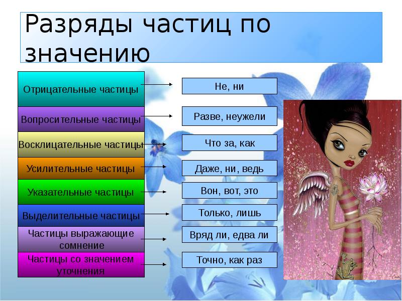 Повторение темы частицы 7 класс презентация