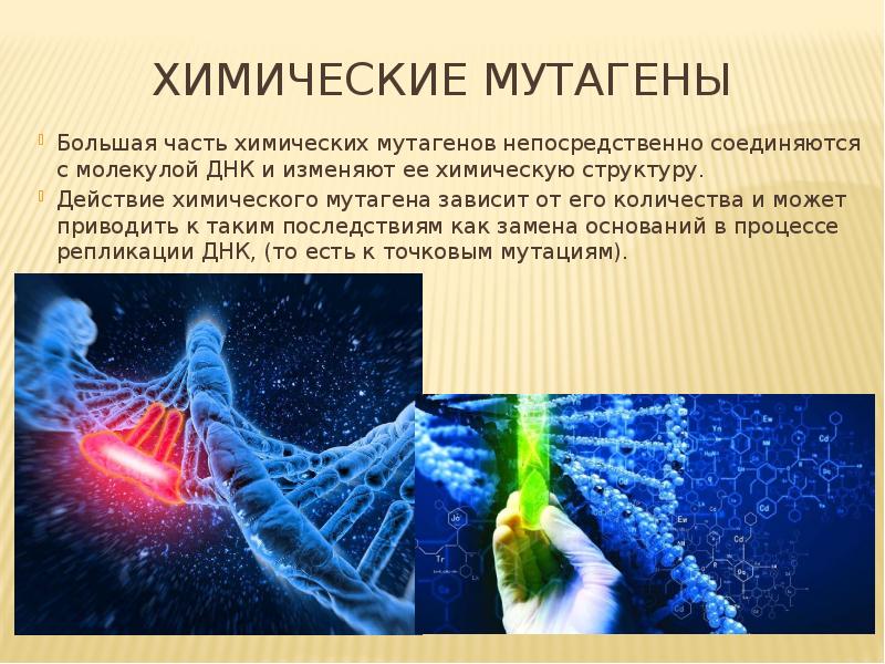 Влияние мутагенов на организм человека презентация