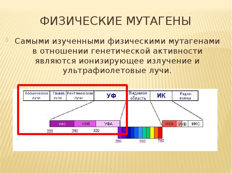 Мутагенная масса