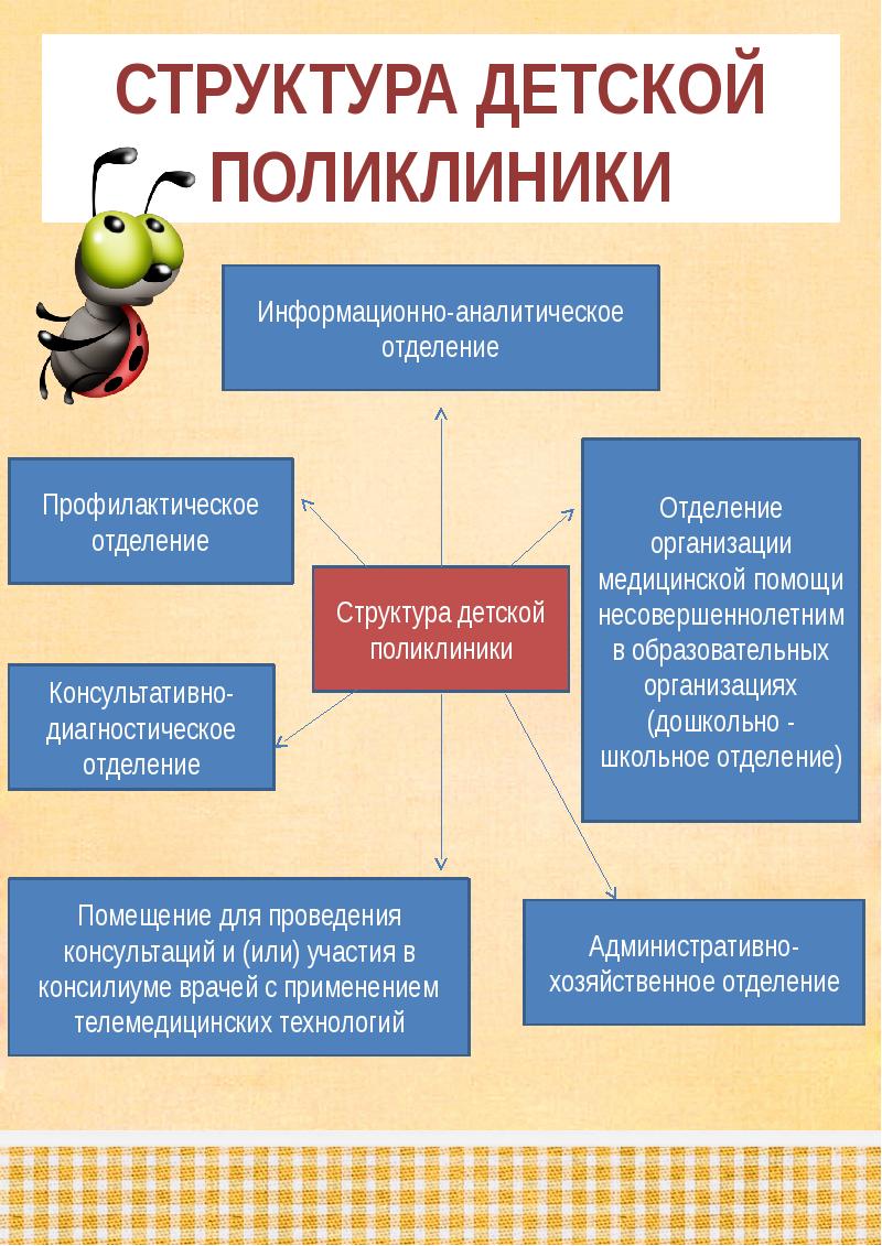 Структура поликлиники взрослой схема