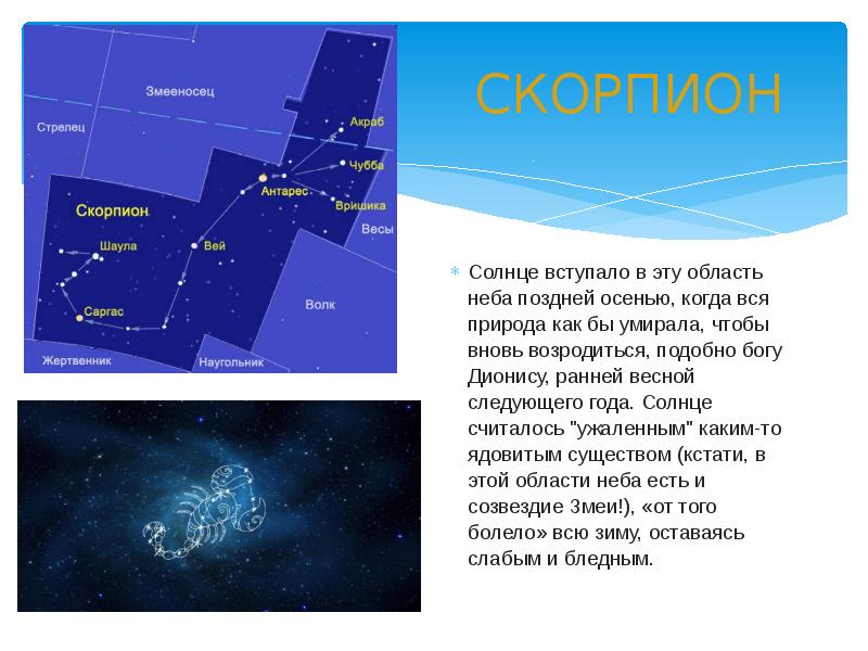 Презентация про созвездие скорпион