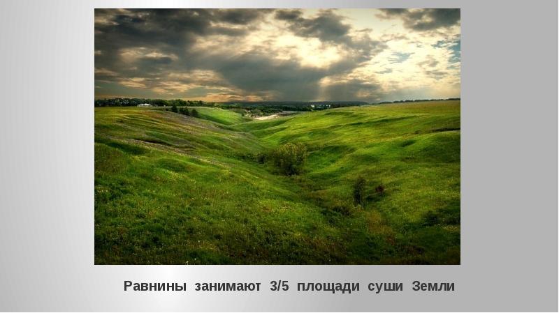 Фото загадки о русской равнине и. Тип почвы русской равнины