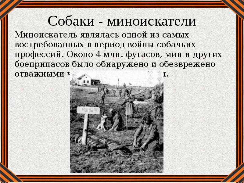 Животные участники великой отечественной войны 1941 1945 презентация