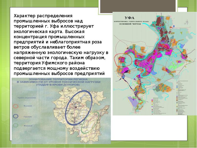 Экология химок презентация