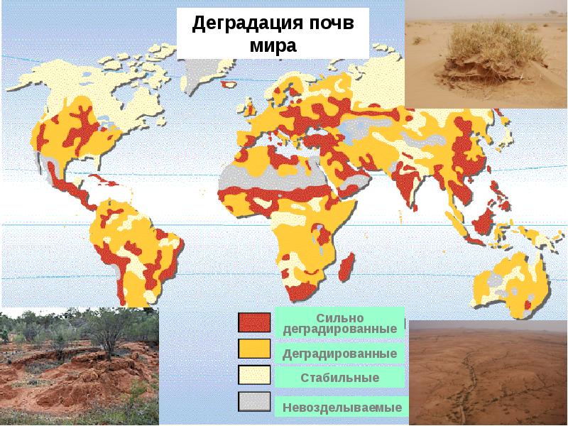 Опустынивание в россии карта