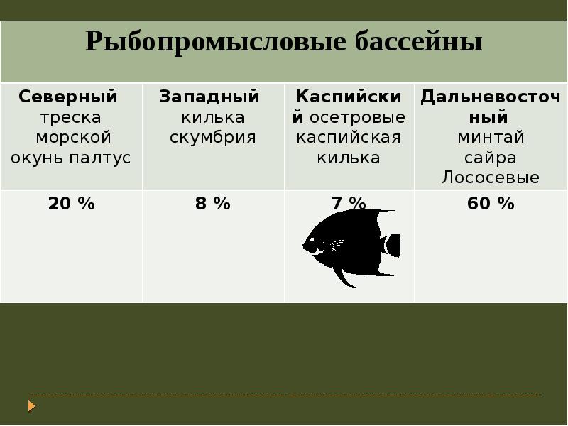 Презентация на тему рыболовные и охотничьи товары