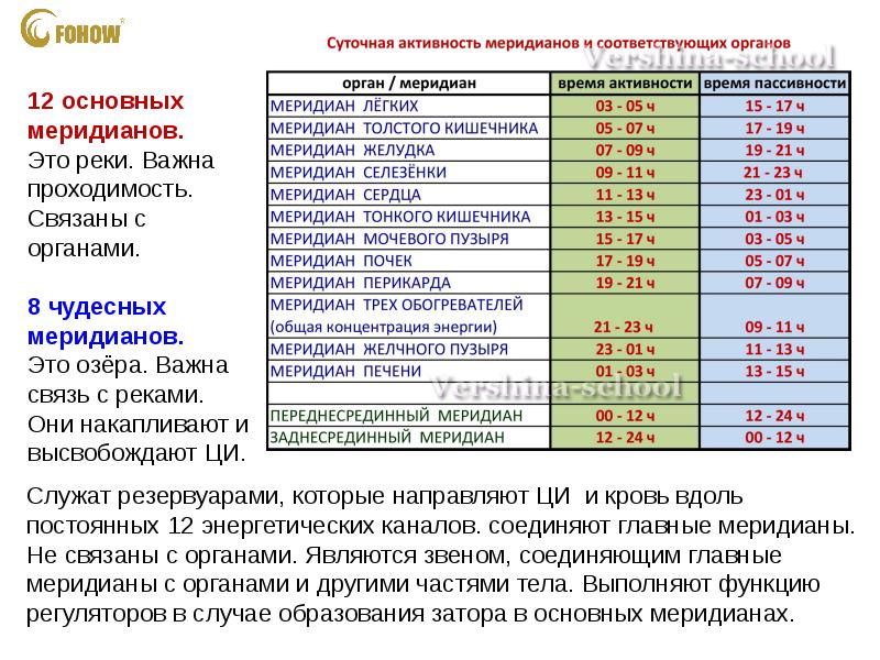 Меридианы человека по часам активности схема