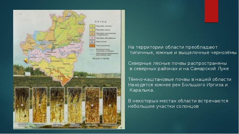 Почвы территории урала. Почвенный Покров Самарской области. Типы почвы Самарской области 4 класс. Карта почв Самарской области. Основные типы почв Самарской области на карте.