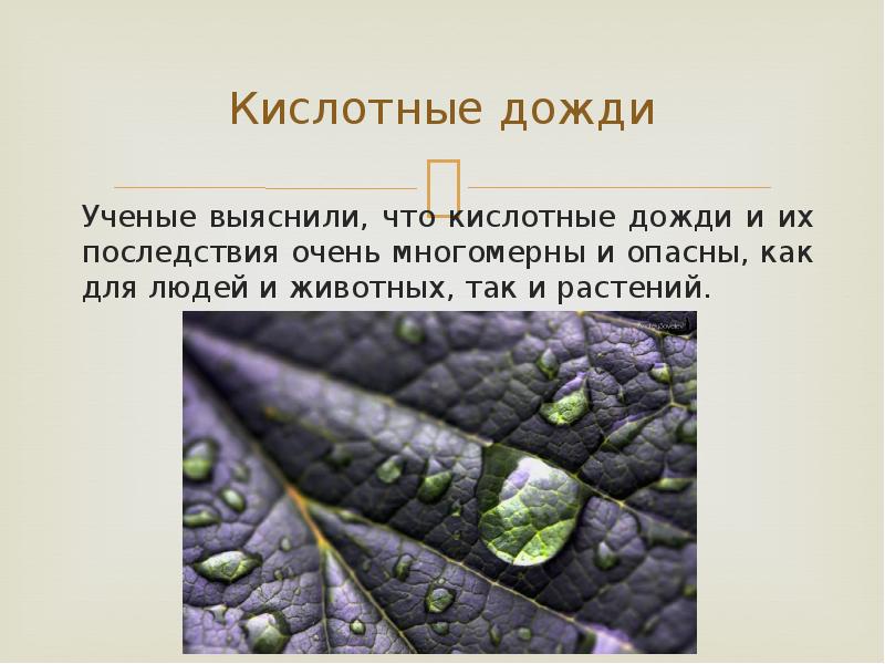 Влияние кислотных дождей на окружающую среду проект по биологии 9 класс