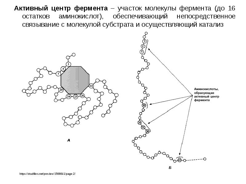 Активная группа фермента