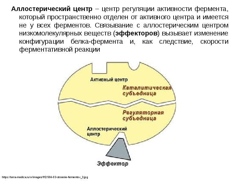 Схема работы фермента