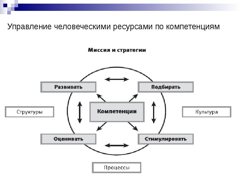 Процессы управления человеческими ресурсами проекта реферат