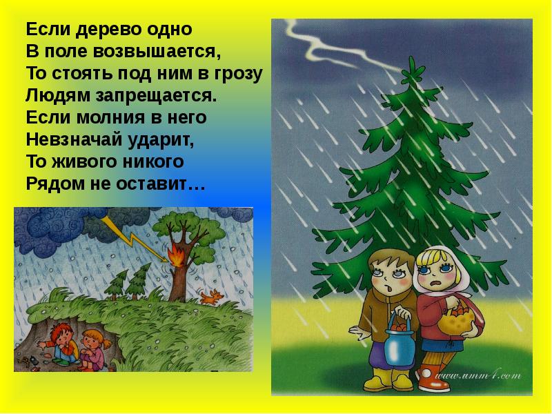 Почему нельзя стоять под деревом в грозу. Безопасность при грозе для детей. Почему нельзя стоять под деревом в грозу. Нельзя стоять под деревом во время грозы. Во время грозы нельзя стоять.