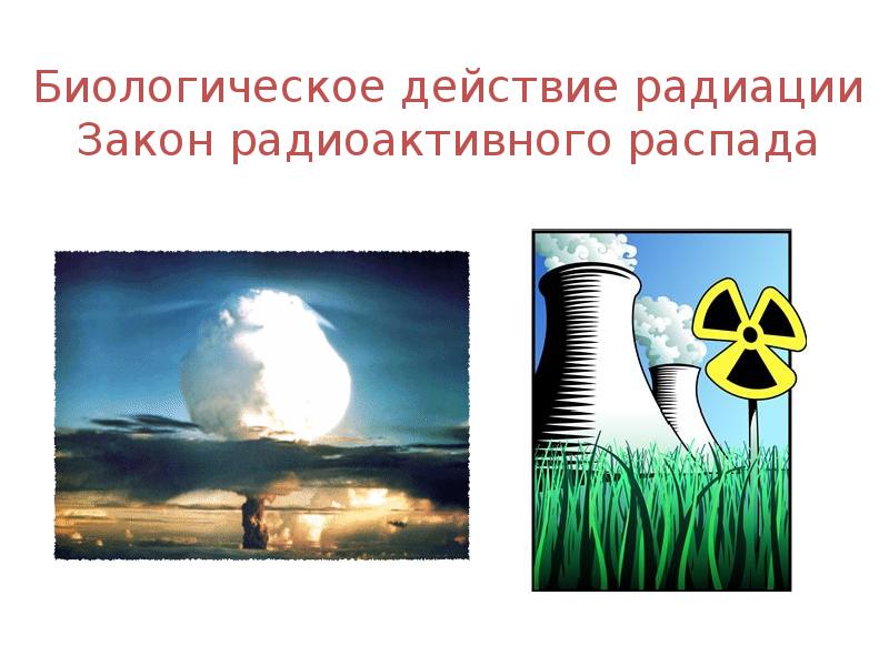 Биологическое действие радиации сообщение