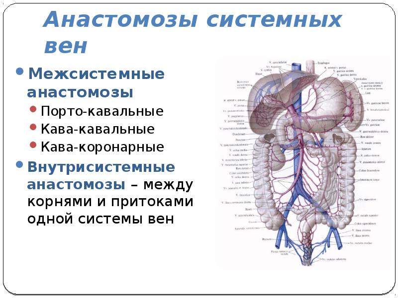  Foto 44