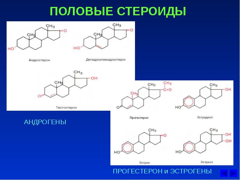 Проект по химии гормоны