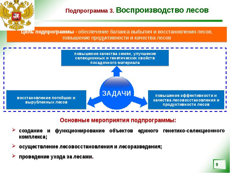 Перспективы лесного комплекса до 2030 года