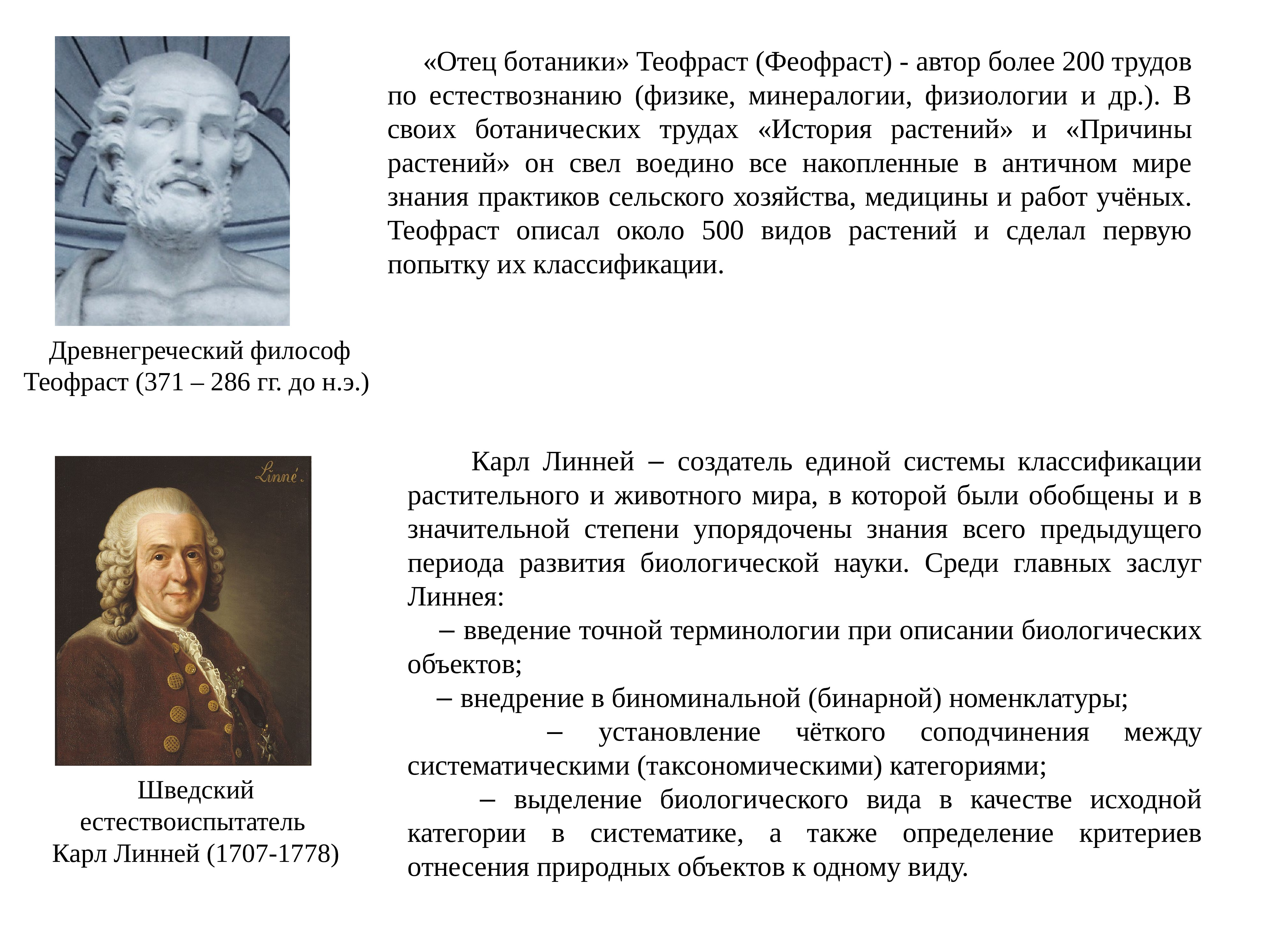 Естественная история растений. Сообщение теофраст отец ботаники. о причинах растений теофраст. автор труда естественная история.