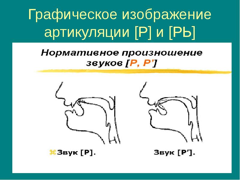 Артикуляция звука л картинка