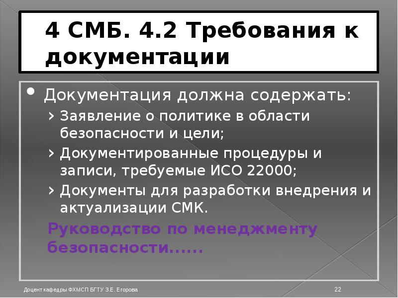4 СМБ. 4.2 Требования к документации Документация должна содержать: Заявление о