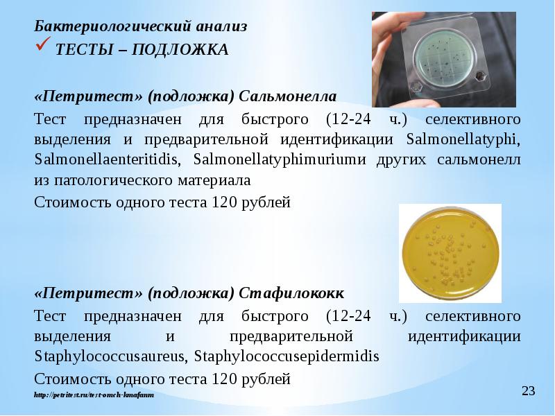 Схема выделения сальмонелл