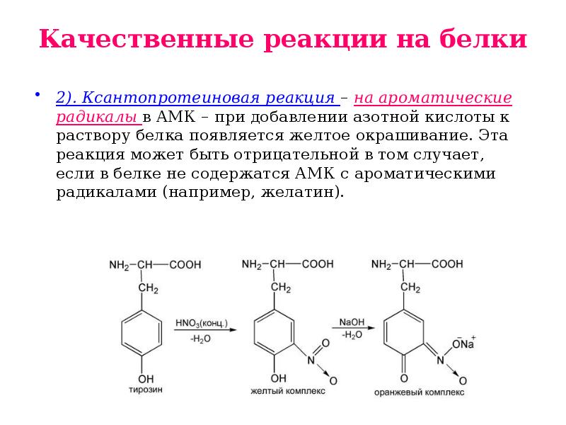 Кач реакции. Ксантопротеиновая реакция на тирозин. Ксантопротеиновая реакция на ароматические аминокислоты. Качественные реакции на белки ксантопротеиновая. Ксантопротеиновая реакция на ароматические кислоты.