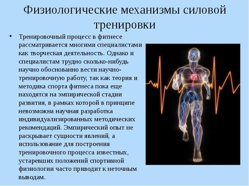 Принципы тренировочного процесса в тренажерном зале