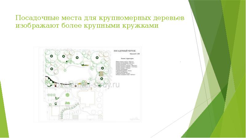 Посадочные места для крупномерных деревьев изображают более крупными кружками