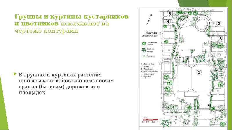 Группы и куртины кустарников и цветников показывают на чертеже контурами В