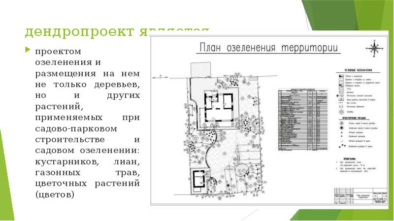 дендропроект является проектом озеленения&nbsp;и размещения на нем не только деревьев, но