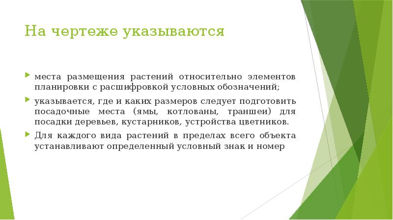 На чертеже указываются  места размещения растений относительно элементов планировки с