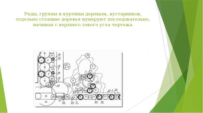 Ряды, группы и куртины деревьев, кустарников, отдельно стоящие деревья нумеруют последовательно,