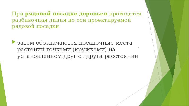 При рядовой посадке деревьев проводится разбивочная линия по оси проектируемой рядовой