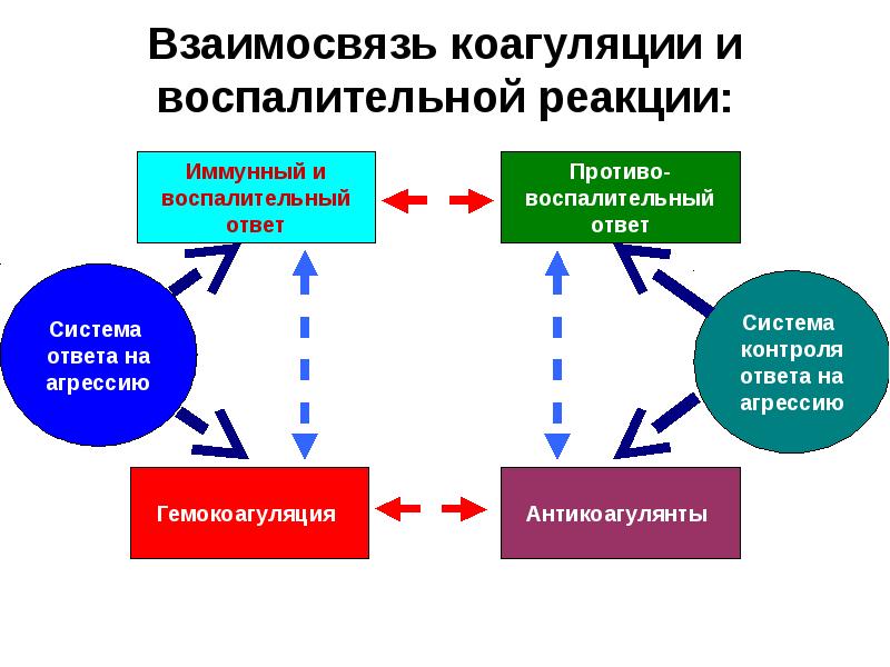 Гемокоагуляция это. Фазы воспалительной реакции. Фазы гемокоагуляции. С1 ингибитор. Коррекция гемокоагуляции.