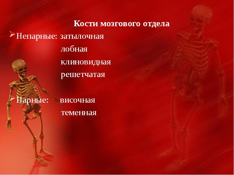 Нарушения формирования скелета. Формирование скелета. кости скелета развиваются из. нарушения в формировании скелета. до скольки лет формируется скелет.