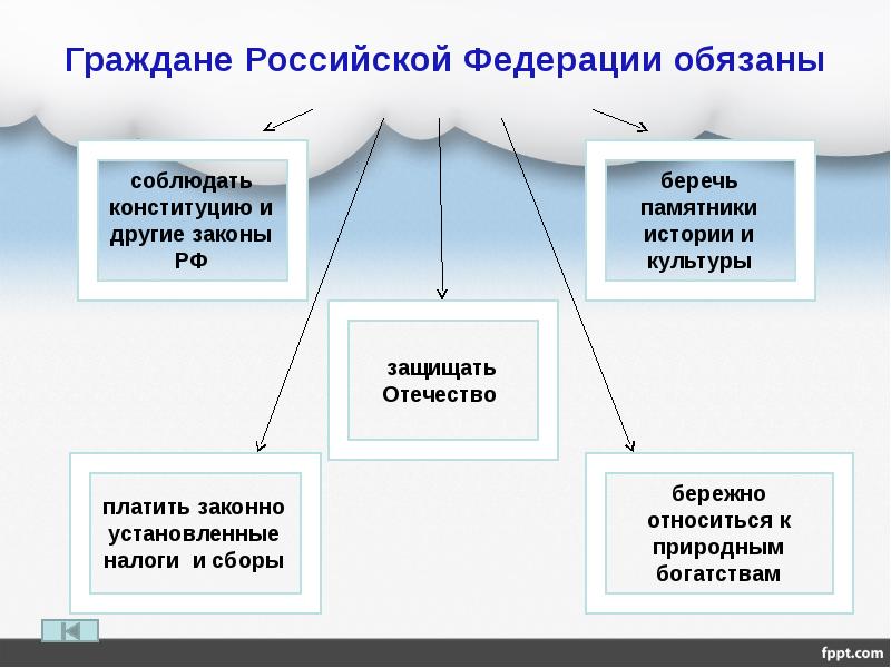 Обязанности гражданина рф схема